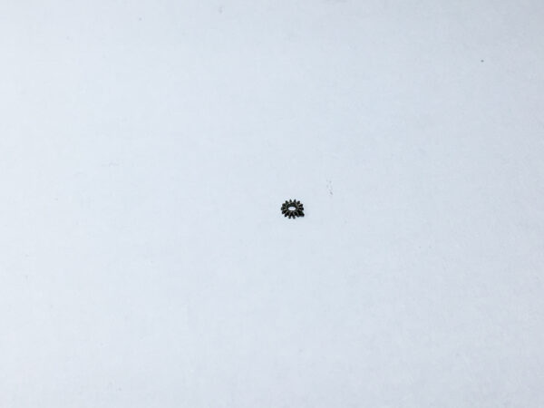 Felsa 220 setting wheel part 450