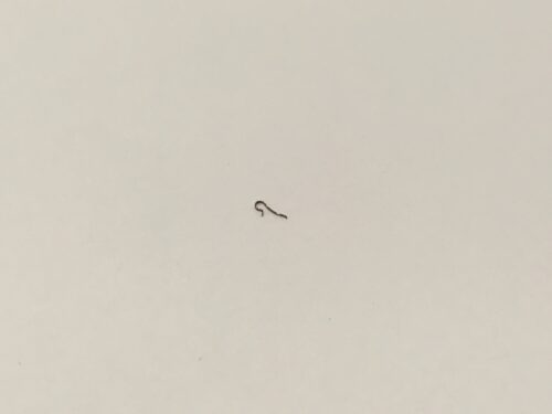 Omega 613 yoke spring part 1112