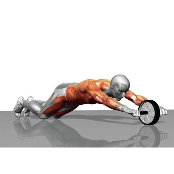 Abdominal trainer roller with mat ABS abdominal - Image 5