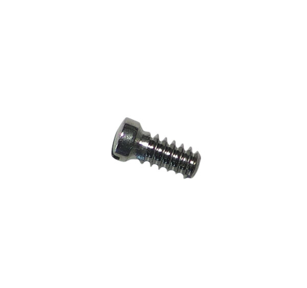 Cartier Santos watch movement screw