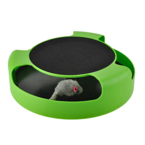 A toy for a cat - a wheel with a mouse