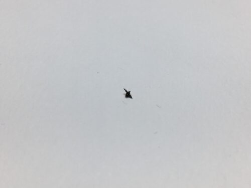 Rolex 3035-5020 replacement balance staff part