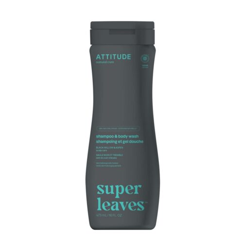 2 in 1 Shampoo and Body Wash for men, Super Leaves, ATTITUDE