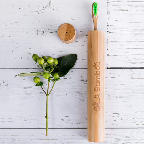 Ola Bamboo Travel Case for Toothbrush