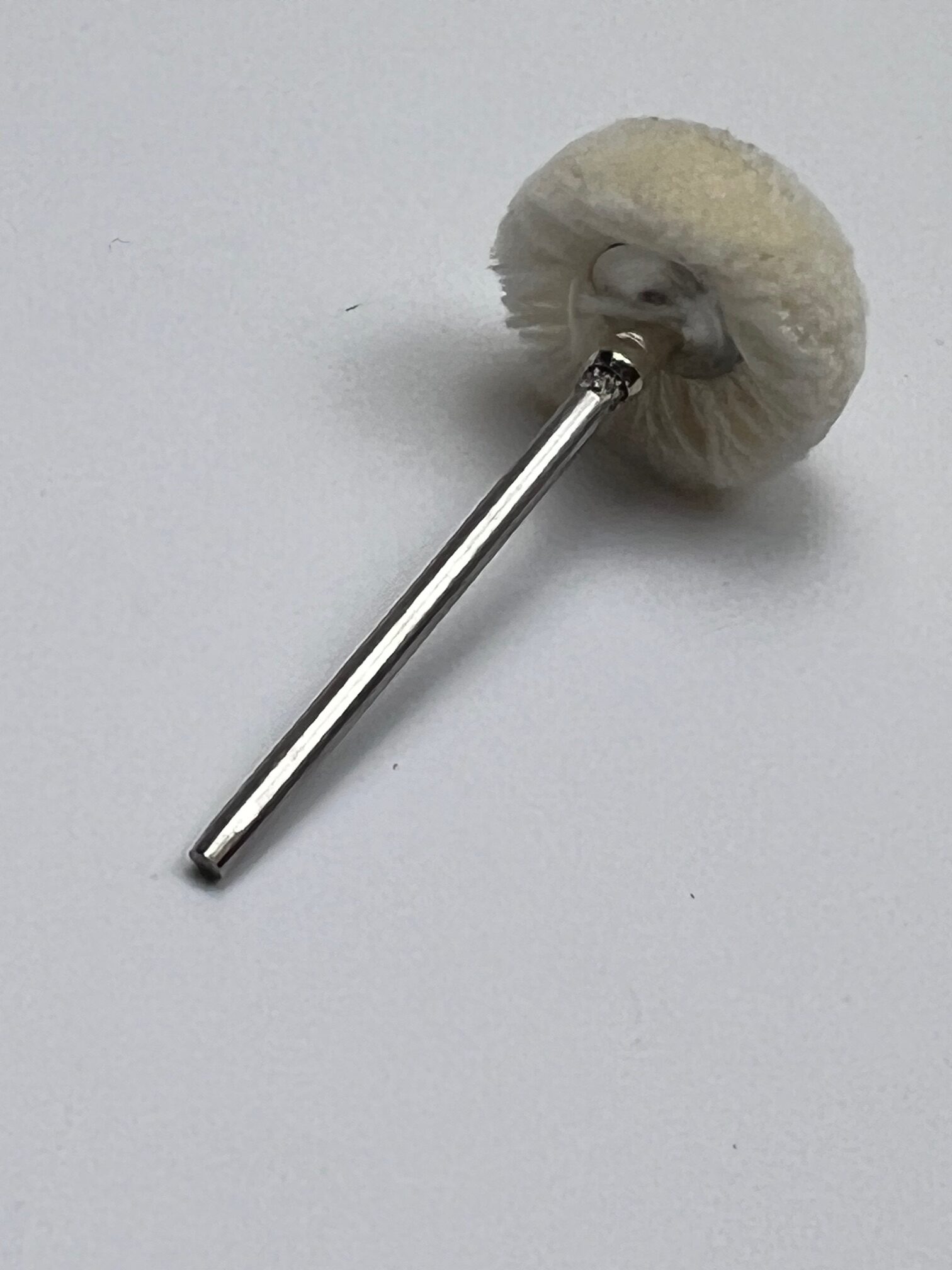 Polirapid Round Cotton Polishing Brushes, Mounted Disc, 21 mm, 6 Pack, By Polirapid in Germany - Image 6