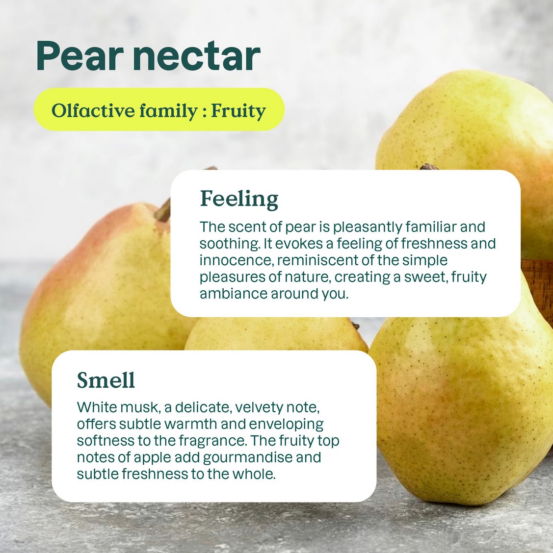 ATTITUDE Baby Fabric Softener – Pear Nectar - Image 2