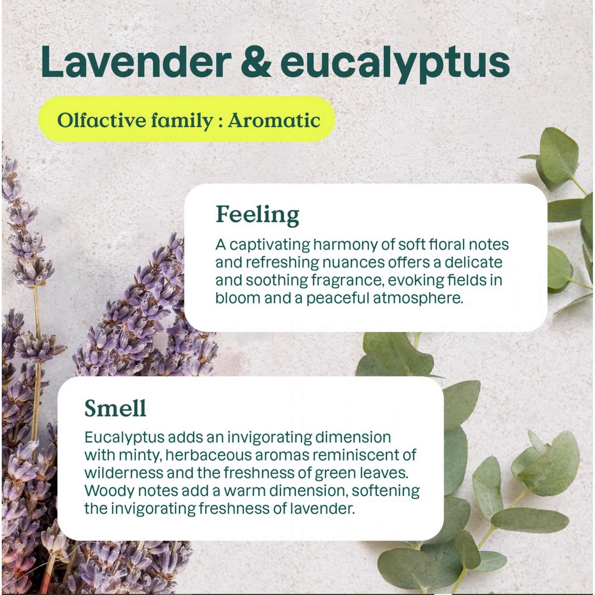 Air Purifier, Lavender and Eucalyptus, ATTITUDE, 227 g, - Image 4