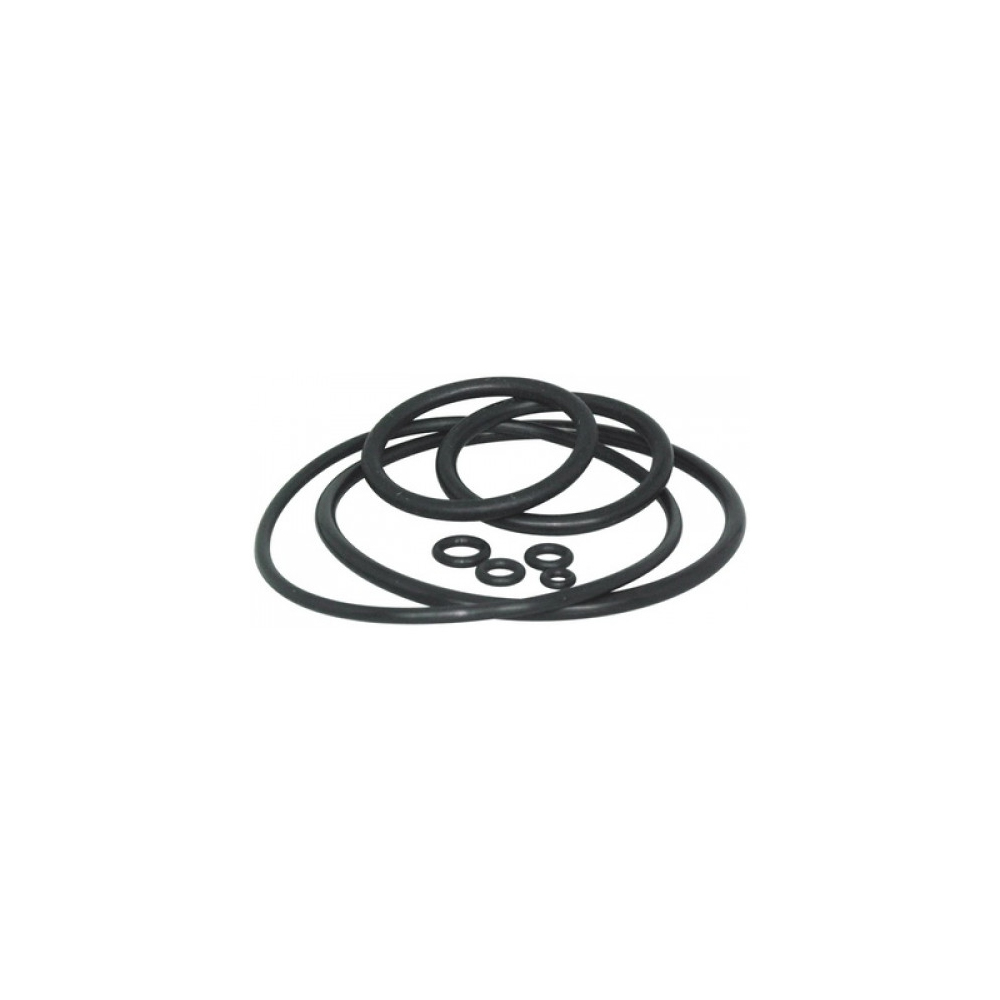 Bergeon 5555/10-ASS Set of 15 Rubber Gaskets for Water Resistance Testing