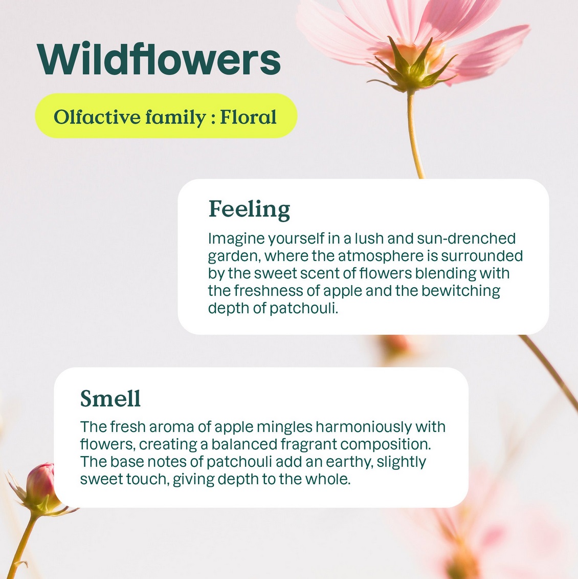 Laundry Liquid, Wildflowers, 35 Loads, ATTITUDE - Image 3